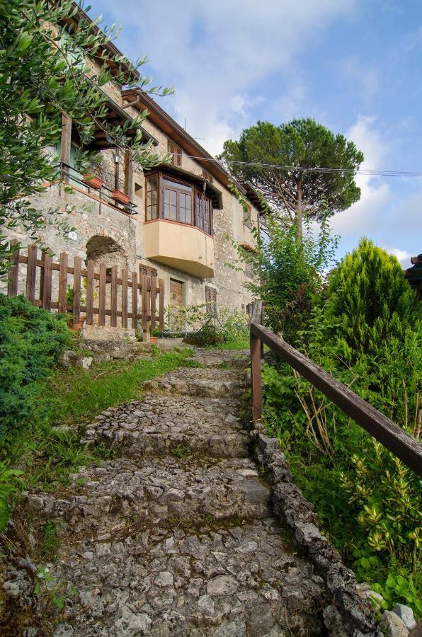 Casa Gelsomino Villa Camaiore Exteriör bild