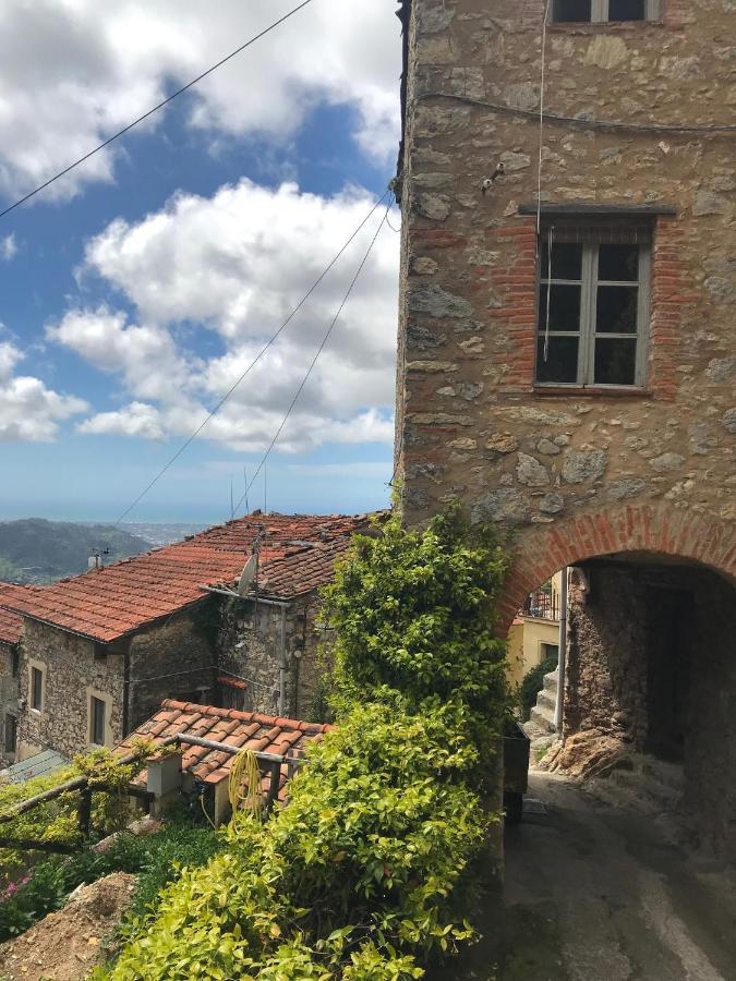 Casa Gelsomino Villa Camaiore Exteriör bild