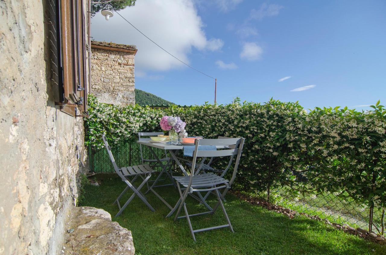 Casa Gelsomino Villa Camaiore Exteriör bild